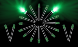 LED 5mm Green-Green (20pcs)